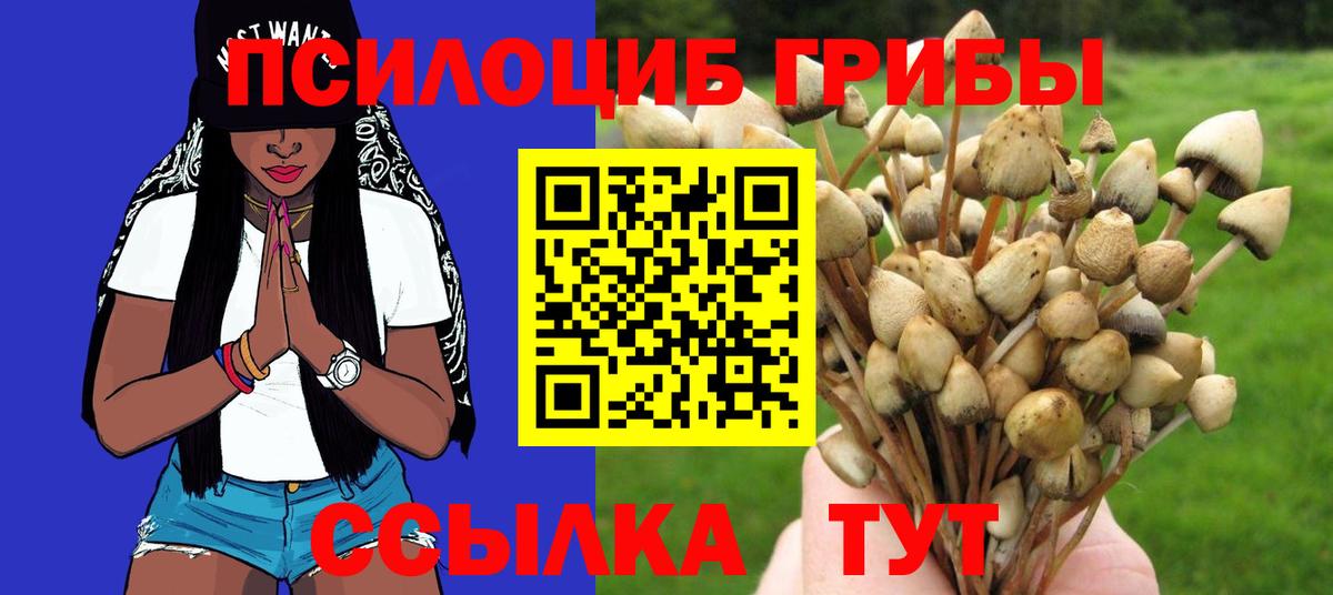 Галлюциногенные грибы Cubensis  Вход с VPN  Арсеньев 